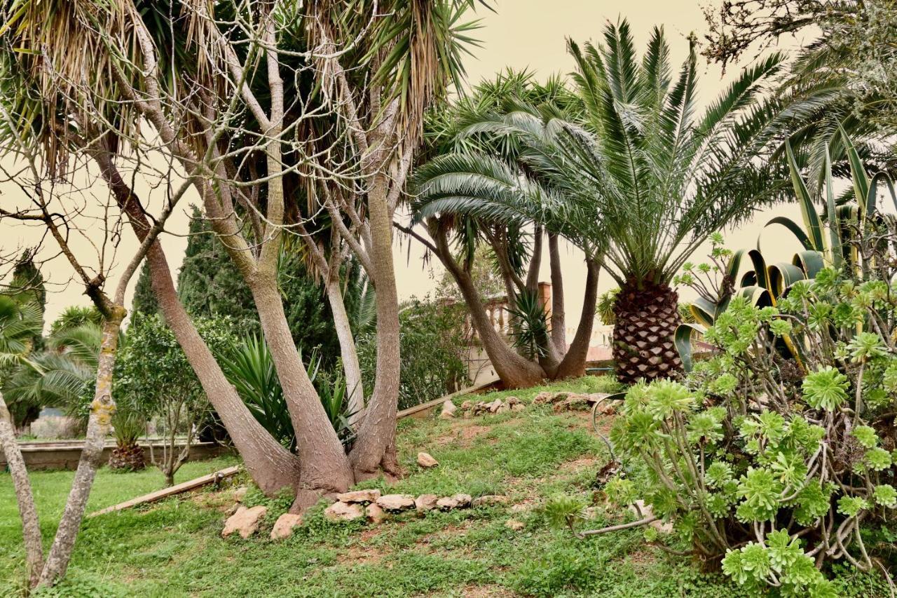 Finca Randa, Llucmayor, Bis 3 Sz, Pool, Garten Llucmajor  Luaran gambar